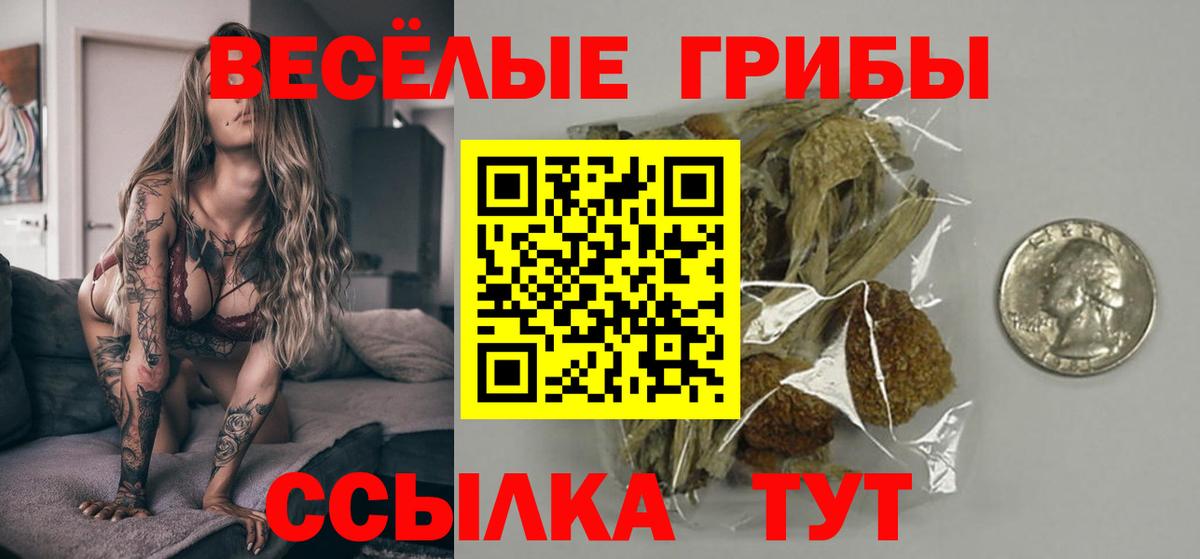 Псилоцибиновые грибы мухоморы  Вход с VPN  Мытищи 