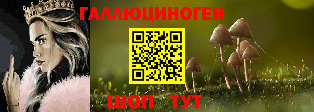 Псилоцибиновые грибы прущие грибы Мытищи